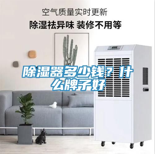 除濕器多少錢(qián)？什么牌子好