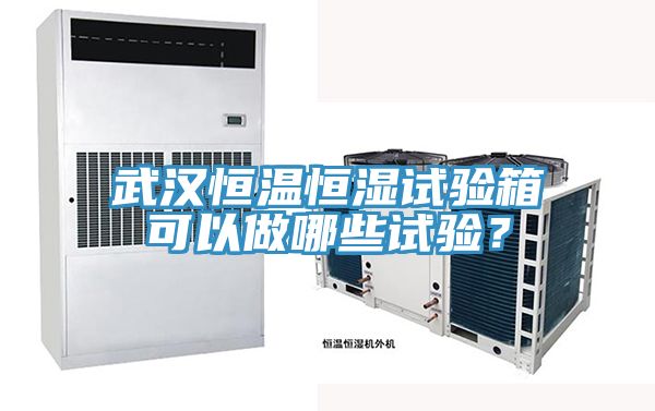 武漢恒溫恒濕試驗箱可以做哪些試驗？