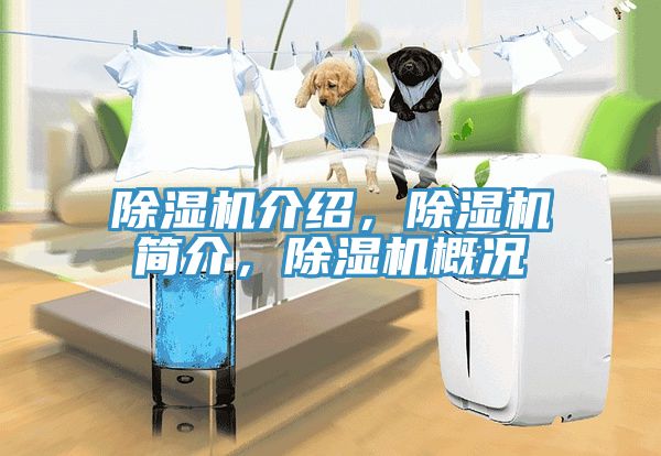除濕機介紹，除濕機簡介，除濕機概況