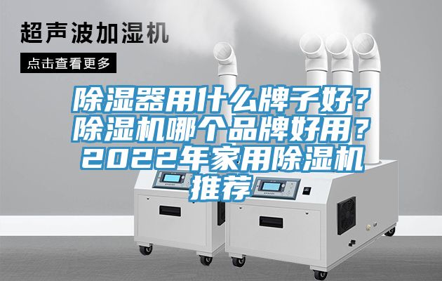除濕器用什么牌子好？除濕機(jī)哪個(gè)品牌好用？2022年家用除濕機(jī)推薦