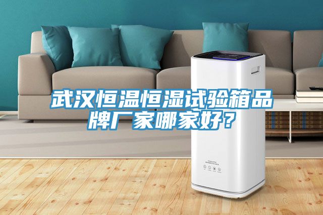 武漢恒溫恒濕試驗箱品牌廠家哪家好？