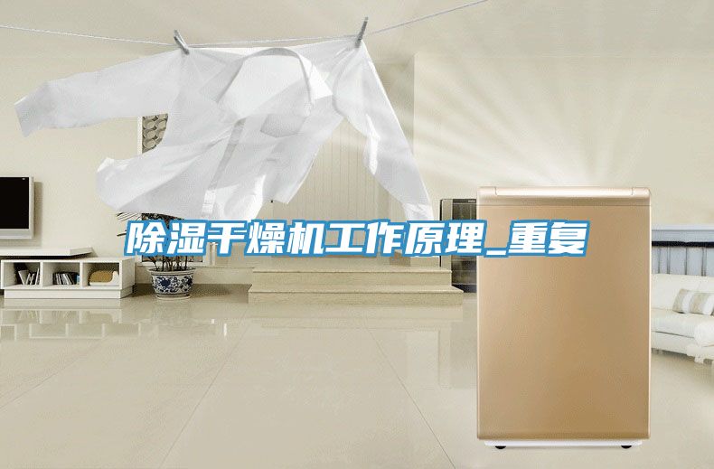 除濕干燥機工作原理_重復(fù)