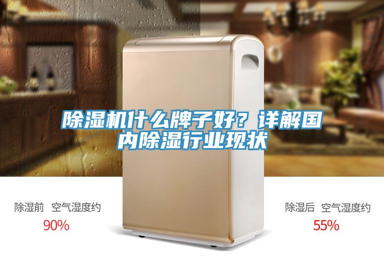 除濕機(jī)什么牌子好？詳解國(guó)內(nèi)除濕行業(yè)現(xiàn)狀