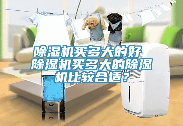 除濕機(jī)買(mǎi)多大的好 除濕機(jī)買(mǎi)多大的除濕機(jī)比較合適？