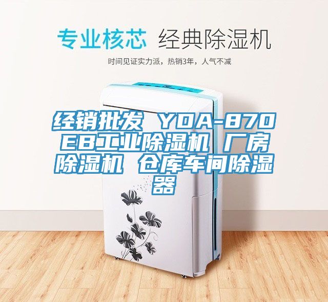 經銷批發(fā) YDA-870EB工業(yè)除濕機 廠房除濕機 倉庫車間除濕器