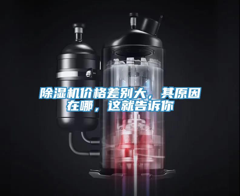 除濕機(jī)價格差別大，其原因在哪，這就告訴你
