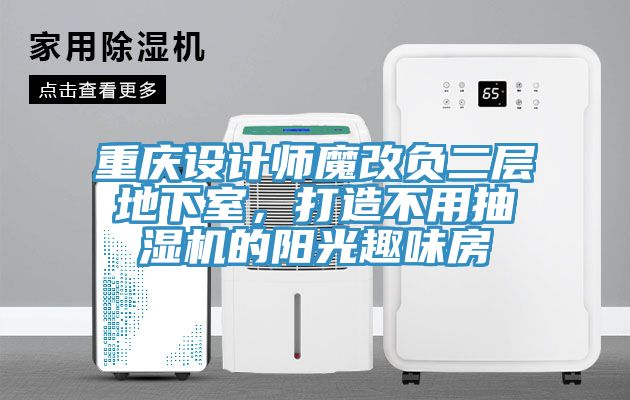 重慶設(shè)計(jì)師魔改負(fù)二層地下室，打造不用抽濕機(jī)的陽(yáng)光趣味房