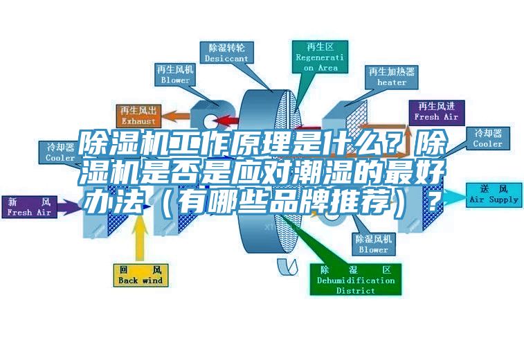 除濕機(jī)工作原理是什么？除濕機(jī)是否是應(yīng)對(duì)潮濕的最好辦法（有哪些品牌推薦）？