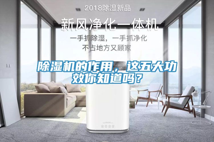除濕機(jī)的作用，這五大功效你知道嗎？
