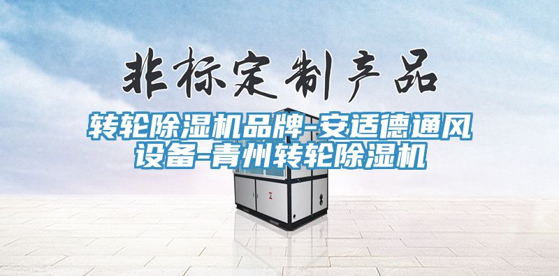 轉(zhuǎn)輪除濕機品牌-安適德通風設(shè)備-青州轉(zhuǎn)輪除濕機