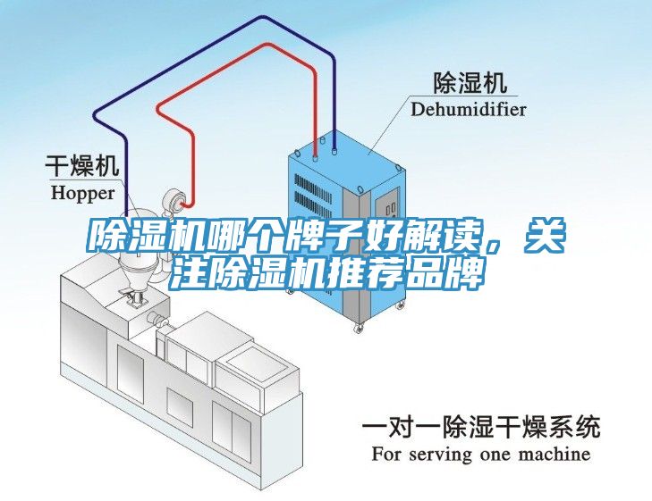 除濕機(jī)哪個(gè)牌子好解讀，關(guān)注除濕機(jī)推薦品牌