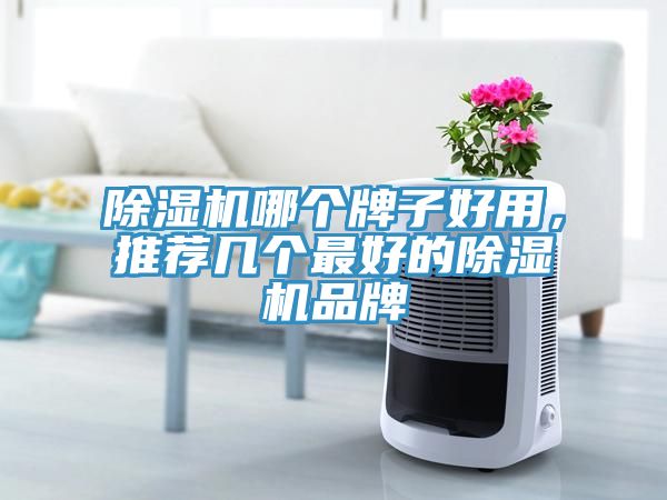 除濕機(jī)哪個(gè)牌子好用，推薦幾個(gè)最好的除濕機(jī)品牌