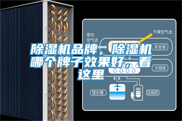 除濕機(jī)品牌，除濕機(jī)哪個(gè)牌子效果好，看這里
