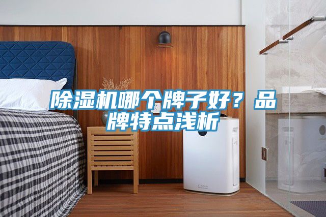 除濕機(jī)哪個(gè)牌子好？品牌特點(diǎn)淺析