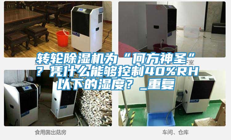 轉(zhuǎn)輪除濕機(jī)為“何方神圣”？憑什么能夠控制40%RH以下的濕度？_重復(fù)