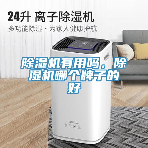 除濕機(jī)有用嗎，除濕機(jī)哪個牌子的好