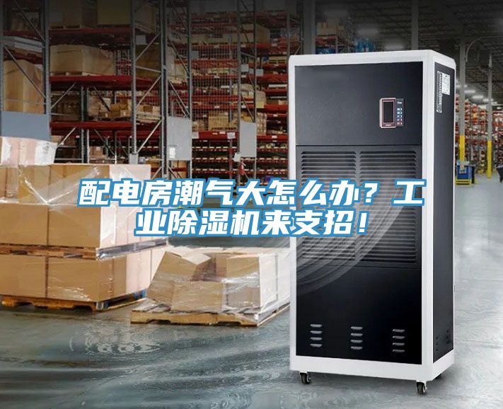 配電房潮氣大怎么辦？工業(yè)除濕機(jī)來支招！