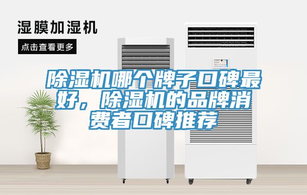 除濕機哪個牌子口碑最好，除濕機的品牌消費者口碑推薦