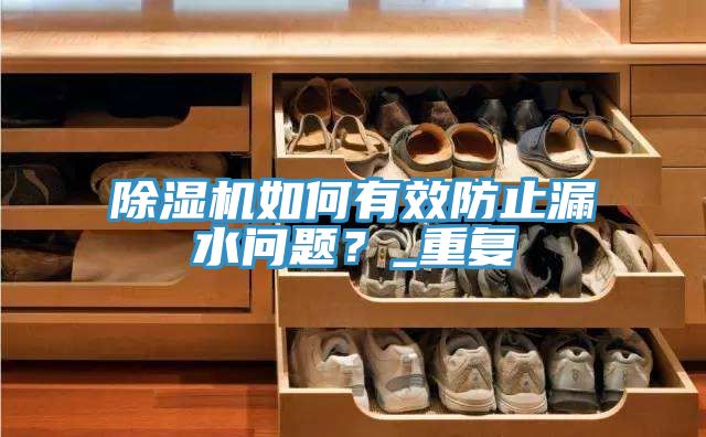 除濕機(jī)如何有效防止漏水問(wèn)題？_重復(fù)