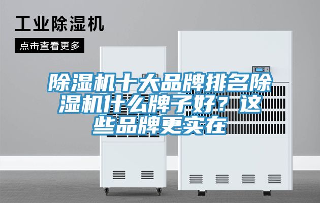 除濕機十大品牌排名除濕機什么牌子好？這些品牌更實在
