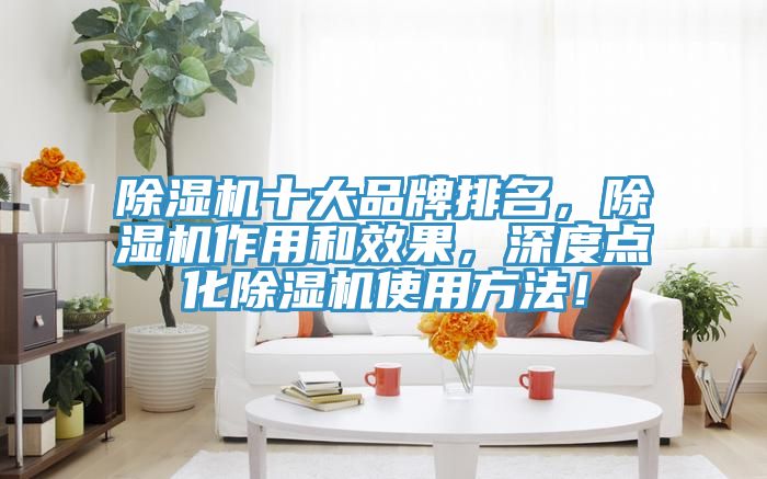 除濕機十大品牌排名，除濕機作用和效果，深度點化除濕機使用方法！