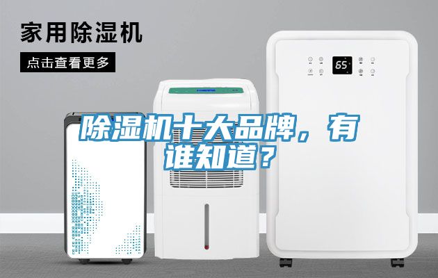 除濕機十大品牌，有誰知道？