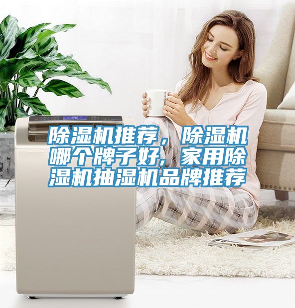 除濕機(jī)推薦，除濕機(jī)哪個(gè)牌子好, 家用除濕機(jī)抽濕機(jī)品牌推薦