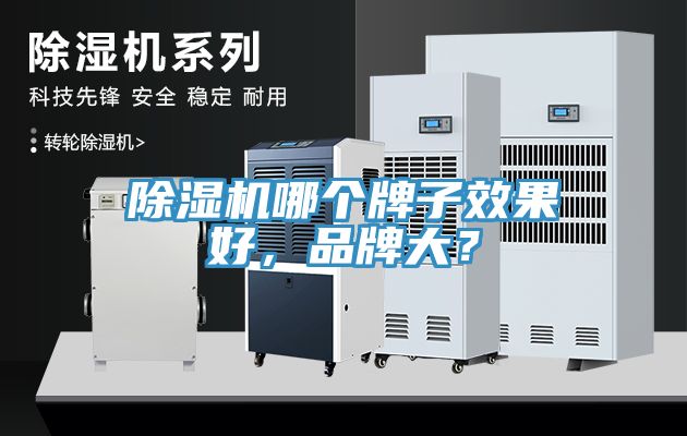 除濕機哪個牌子效果好，品牌大？