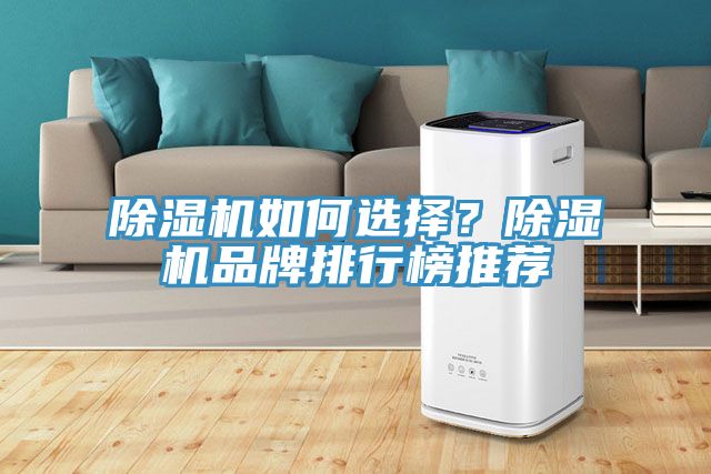除濕機(jī)如何選擇？除濕機(jī)品牌排行榜推薦