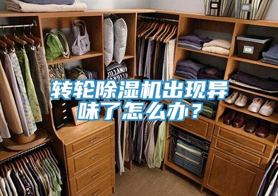 轉(zhuǎn)輪除濕機出現(xiàn)異味了怎么辦？