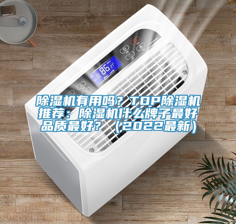 除濕機(jī)有用嗎？TOP除濕機(jī)推薦：除濕機(jī)什么牌子最好品質(zhì)最好？（2022最新）