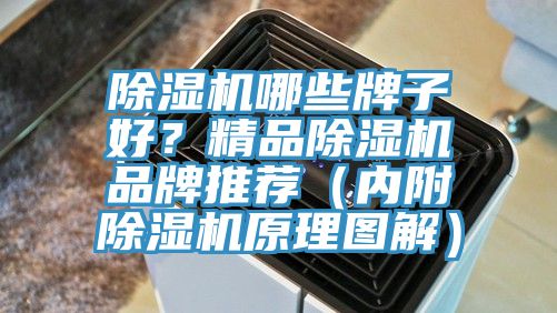 除濕機(jī)哪些牌子好？精品除濕機(jī)品牌推薦（內(nèi)附除濕機(jī)原理圖解）