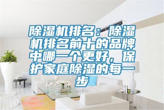 除濕機(jī)排名：除濕機(jī)排名前十的品牌中哪一個(gè)更好，保護(hù)家庭除濕的每一步