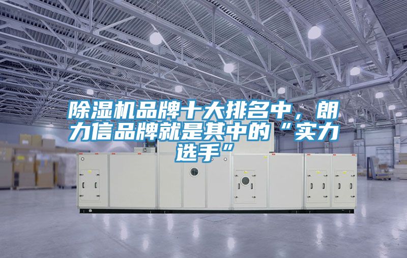除濕機品牌十大排名中，朗力信品牌就是其中的“實力選手”