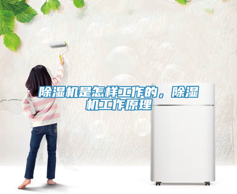 除濕機是怎樣工作的，除濕機工作原理