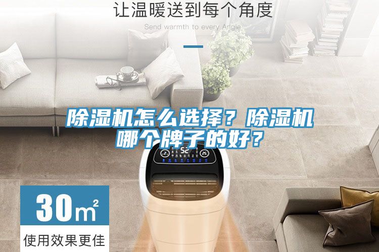 除濕機怎么選擇？除濕機哪個牌子的好？