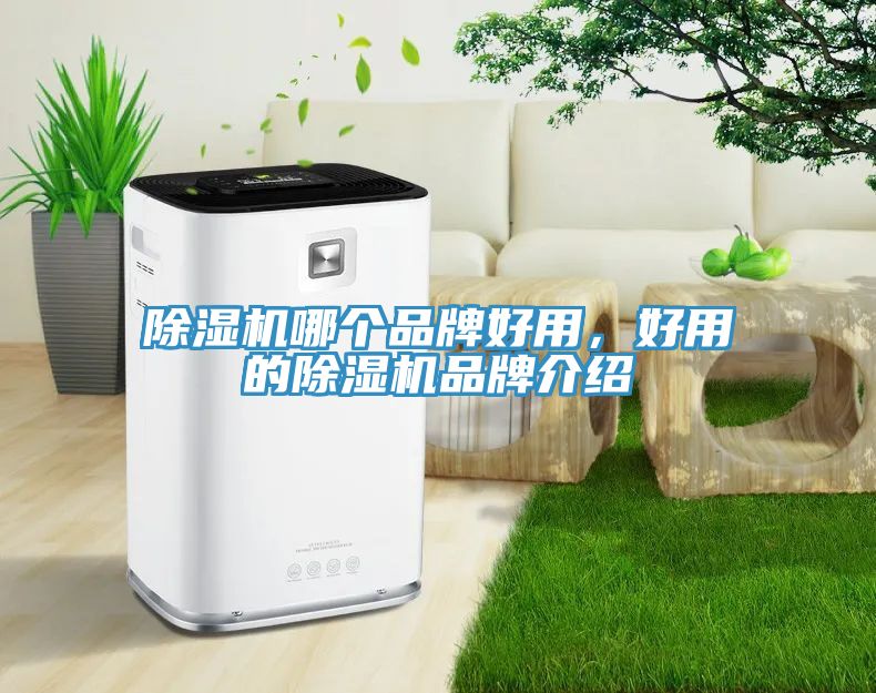 除濕機(jī)哪個品牌好用，好用的除濕機(jī)品牌介紹