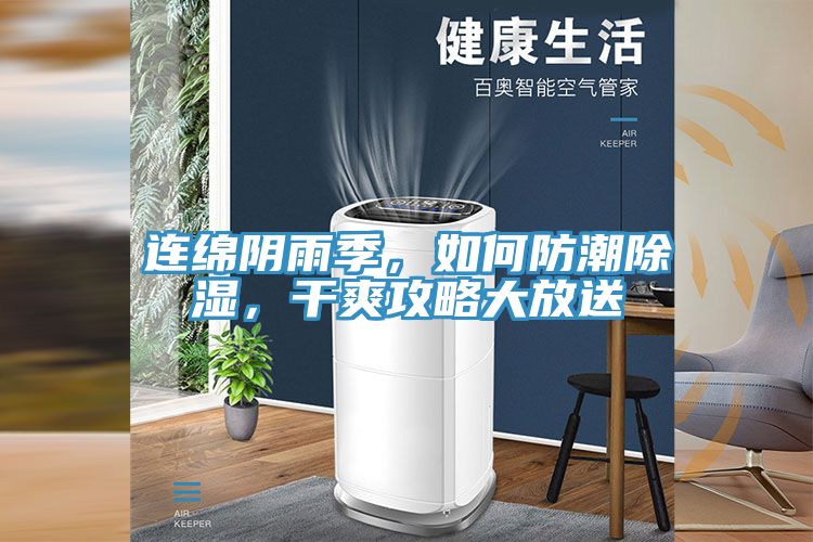 連綿陰雨季，如何防潮除濕，干爽攻略大放送