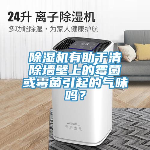 除濕機(jī)有助于清除墻壁上的霉菌或霉菌引起的氣味嗎？