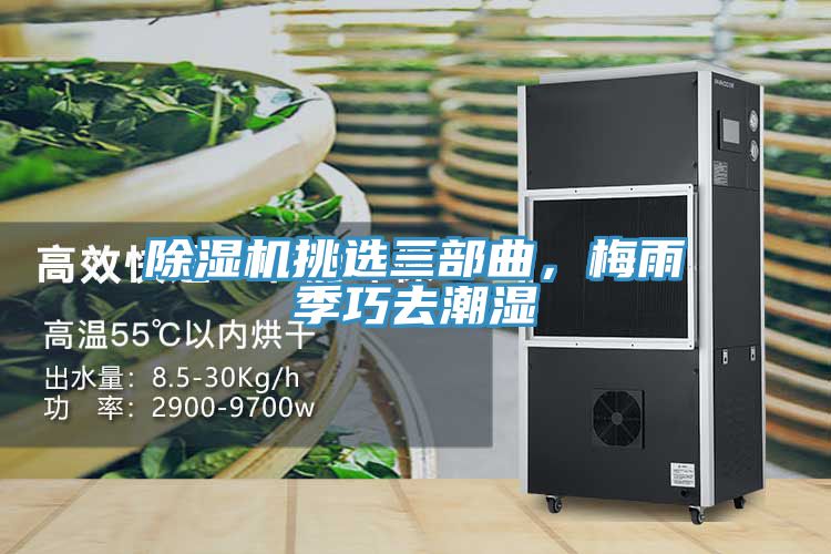 除濕機挑選三部曲，梅雨季巧去潮濕