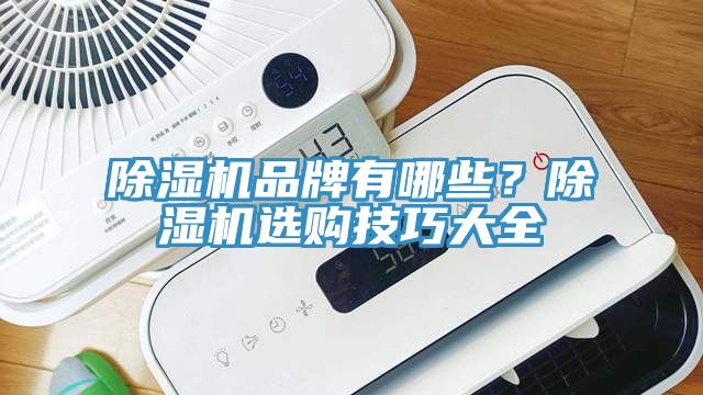 除濕機(jī)品牌有哪些？除濕機(jī)選購(gòu)技巧大全