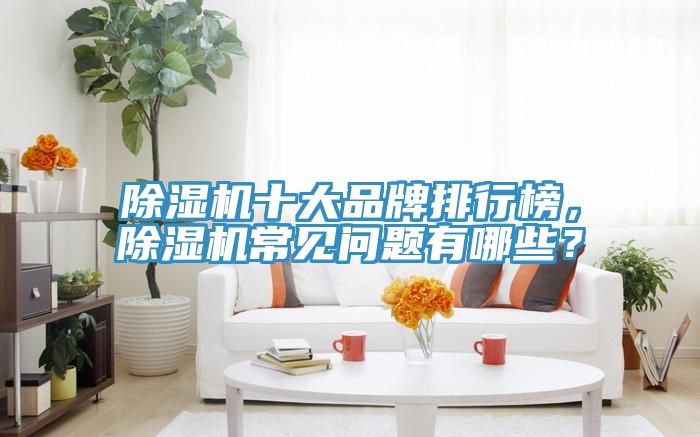 除濕機十大品牌排行榜，除濕機常見問題有哪些？