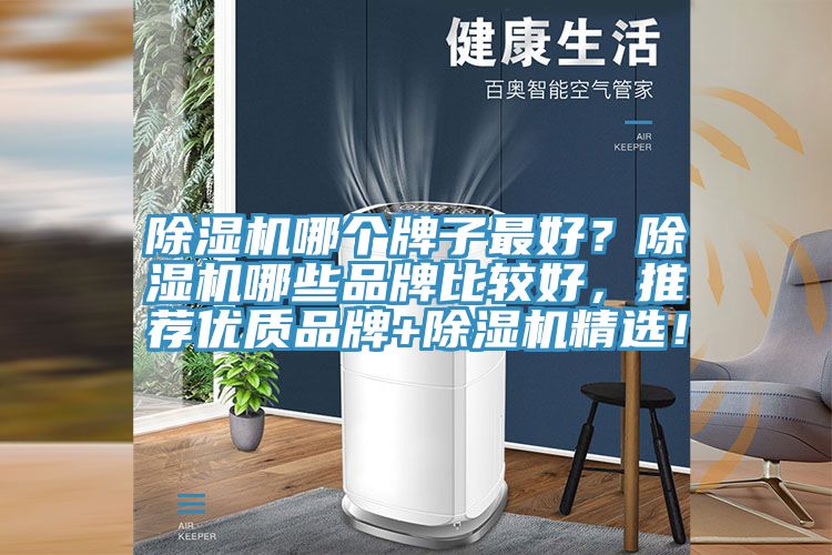 除濕機哪個牌子最好？除濕機哪些品牌比較好，推薦優(yōu)質(zhì)品牌+除濕機精選！