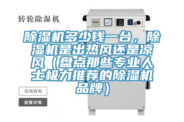 除濕機(jī)多少錢(qián)一臺(tái)，除濕機(jī)是出熱風(fēng)還是涼風(fēng)（盤(pán)點(diǎn)那些專業(yè)人士極力推薦的除濕機(jī)品牌）