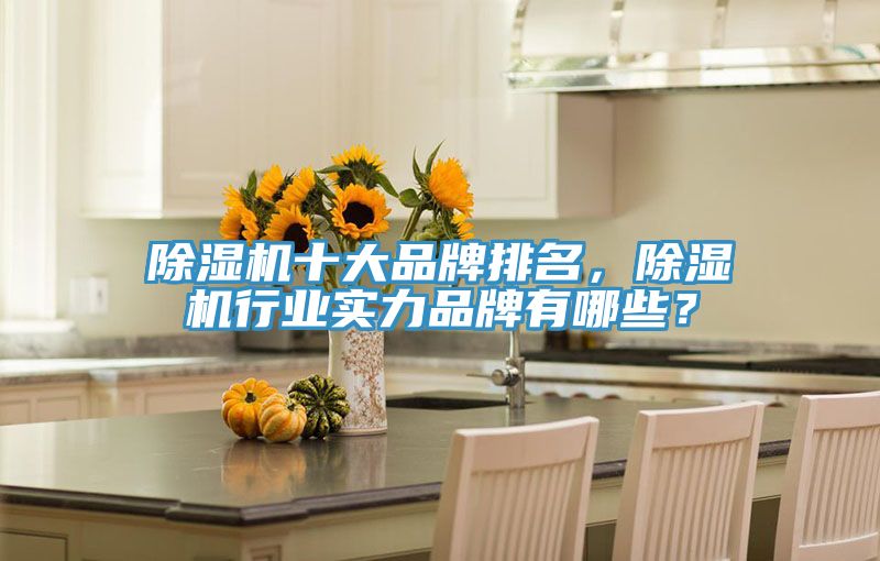 除濕機十大品牌排名，除濕機行業(yè)實力品牌有哪些？