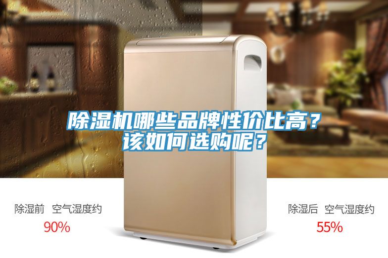 除濕機哪些品牌性價比高？該如何選購呢？