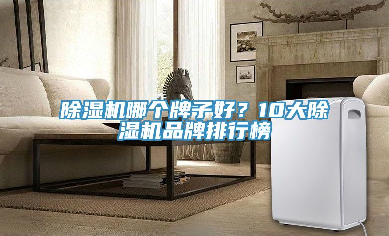 除濕機(jī)哪個(gè)牌子好？10大除濕機(jī)品牌排行榜