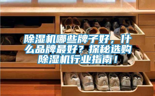 除濕機(jī)哪些牌子好，什么品牌最好？探秘選購除濕機(jī)行業(yè)指南！