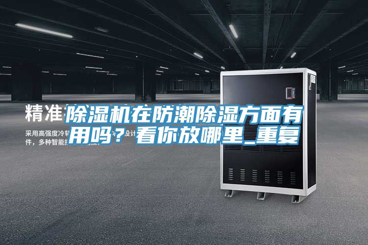 除濕機在防潮除濕方面有用嗎？看你放哪里_重復