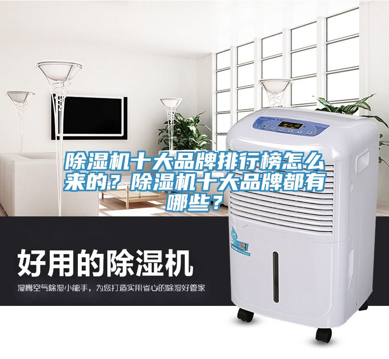 除濕機十大品牌排行榜怎么來的？除濕機十大品牌都有哪些？